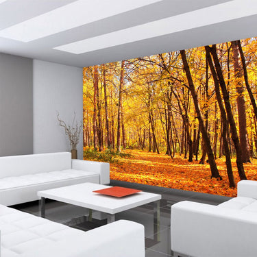 Vlies Fototapete Autumn Forest Wald Tapete Herbstblätter Wald Bäume Baum Forest Herbst orange - Lifestyle & More