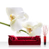 Vlies Fototapete Berge Tapete Orchidee Blumen Blumenranke Weiß Natur Pflanzen Abstrakt grau - Lifestyle & More