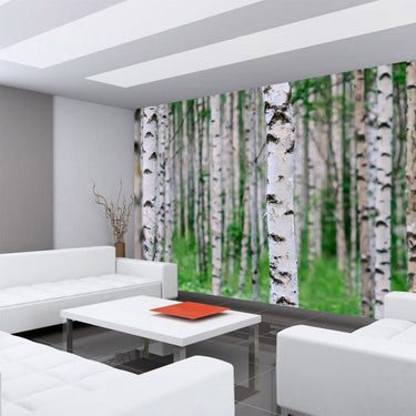 Vlies Fototapete Birch Forest II Wald Tapete Birkenwald 3D Perspektive Birke Stämme Wald grün - Lifestyle & More