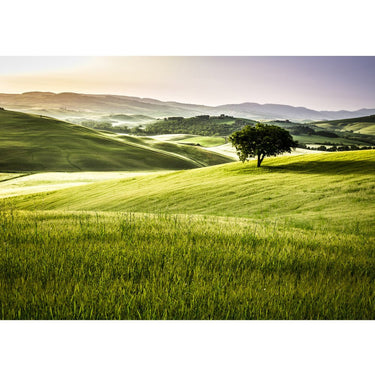 Vlies Fototapete Landschaft Tapete Feld Natur Ausblick Berge Sonne beige - Lifestyle & More