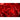 Vlies Fototapete perfect Rose Blumen Tapete Blumen Rose Blüten Natur Liebe Love Blüte rot - Lifestyle & More