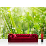 Vlies Fototapete Pflanzen Tapete Gras Halm Grün Wiese Sonne Natur grau - Lifestyle & More