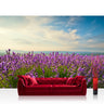 Vlies Fototapete Pflanzen Tapete Natur Feld Himmel Wolken Grün Idyll beige - Lifestyle & More