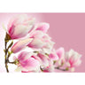 Vlies Fototapete Pink Magnolia Blumen Tapete Blumenranke Pflanzen Natur Orchidee rosa pink - Lifestyle & More