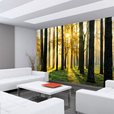 Vlies Fototapete Sunlight Forest II Wald Tapete Wald - Lifestyle & More