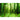 Vlies Fototapete Sunlight Forest Wald Tapete Wald Bäume Sonnenstrahlen grün Ruhe grün - Lifestyle & More