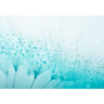 Vlies Fototapete Turquoise Blumen Tapete Pusteblume - Lifestyle & More