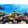 Vlies Fototapete Underwater ReefTiere Tapete Aquarium Unterwasser Meereswelt Meer Fische Riff - Lifestyle & More