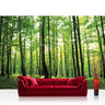 Vlies Fototapete Wald Tapete Bäume Wald Sonne Wiese grün - Lifestyle & More