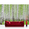 Vlies Fototapete Wald Tapete Birke Wald Bäume Natur grün weiß weiß - Lifestyle & More