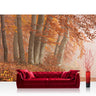 Vlies Fototapete Wald Tapete Wald Bäume Natur Baum Herbst Nebel braun - Lifestyle & More