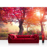 Vlies Fototapete Wald Tapete Wald Sonne grau - Lifestyle & More
