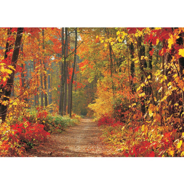 Vlies Fototapete Wald Tapete Weg Wald Bäume Herbst Laub Baum Natur braun - Lifestyle & More