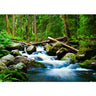 Vlies Fototapete Waterfall WoodsWald Tapete Wald Wasserfall Natur Baum grün grün - Lifestyle & More