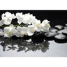 Vlies Fototapete White Orchids an Black Stones Ornamente Tapete Orchidee Blumen Blumenranke Rosa - Lifestyle & More